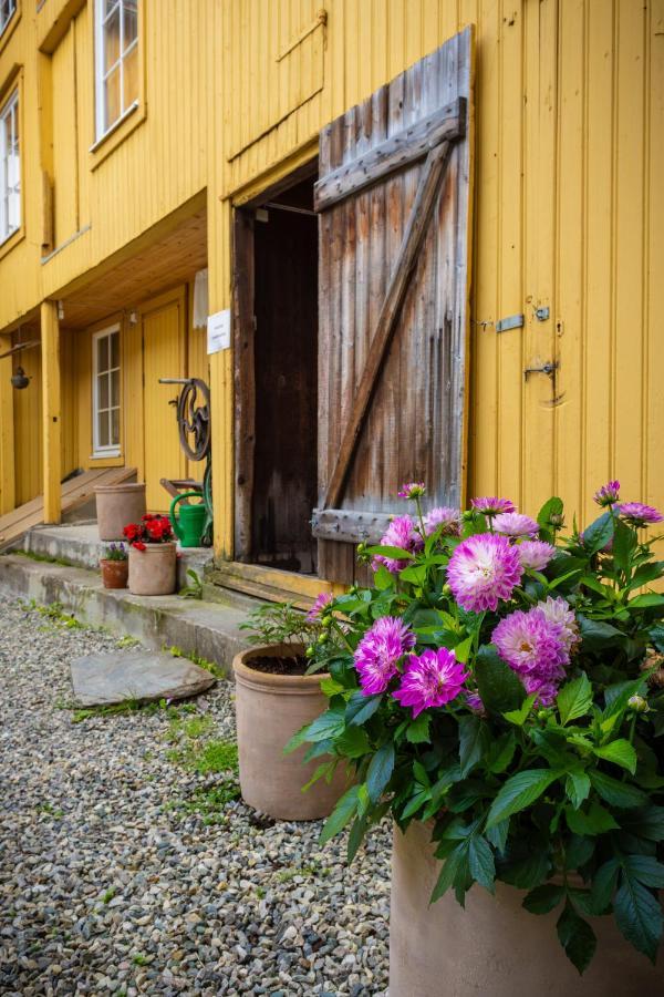 Ferienwohnung Houmbgaarden Røros Exterior foto